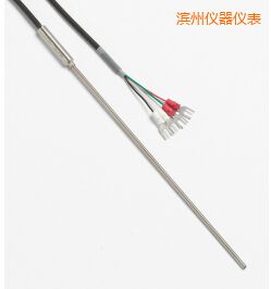 濱州快速響應鉑電阻溫度計