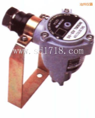 滄州可燃氣體檢測儀