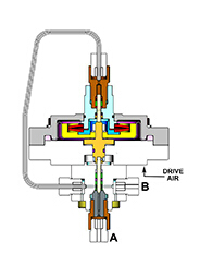 �_(d��)�ݶ��ݷe�y