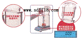 �ʝ����M(j��n)����ƽ,310g,0.001g