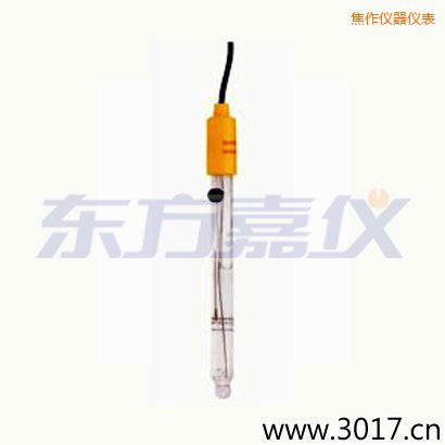 焦作可填充玻璃管電極