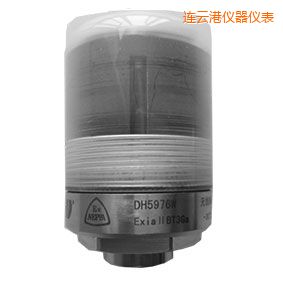 連云港無(wú)線軸承狀態(tài)監(jiān)測(cè)器