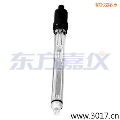 洛陽玻璃外殼純水電極