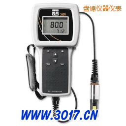 盤錦便攜式溶解氧測(cè)量?jī)x