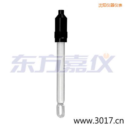 沈陽無溫補(bǔ)兩線電導(dǎo)率電極