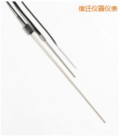 宿遷R 型和 S 型標準熱電偶