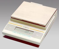 濰坊電子天平,3100g,0.1g