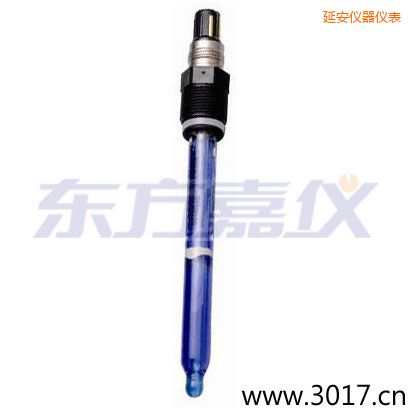 延安測(cè)純水,超純水 PH電極