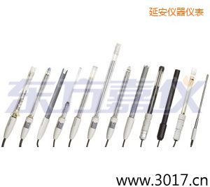 延安離子選擇性電極