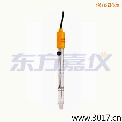 鎮(zhèn)江可填充玻璃管電極